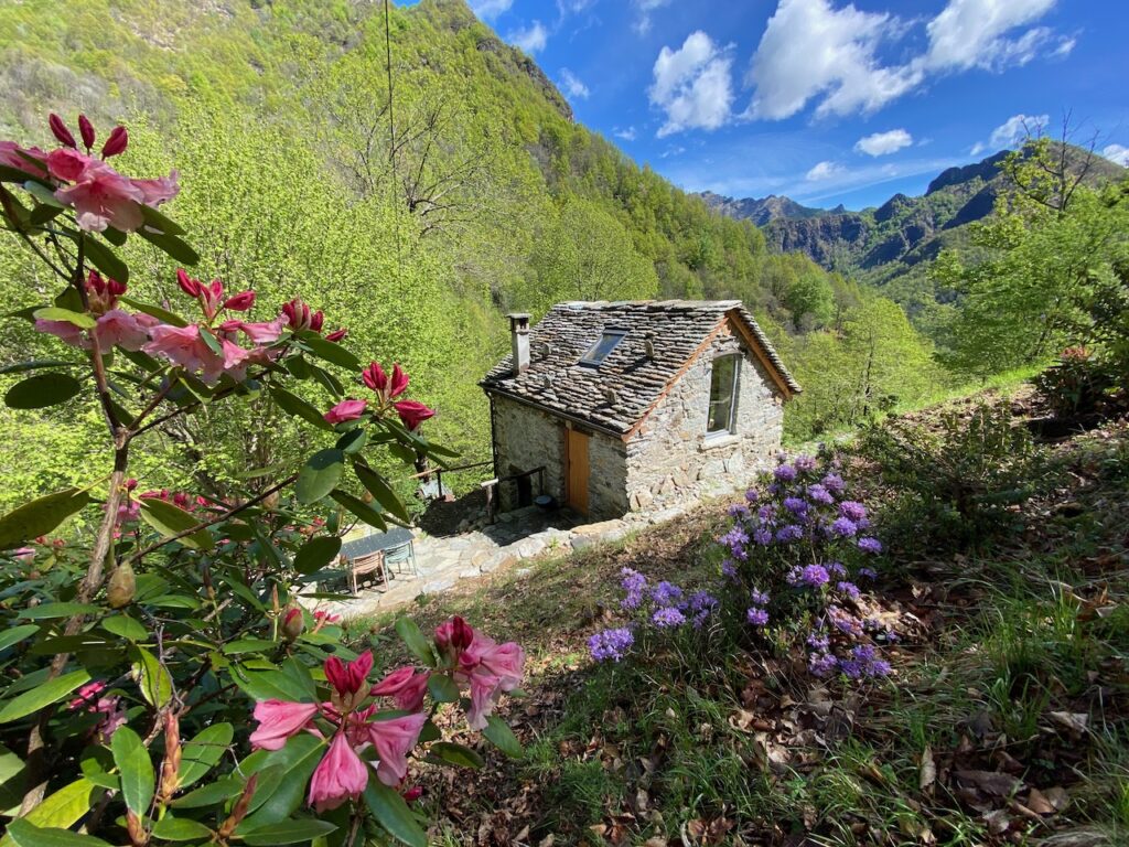 Cabin Nel Bosco - Mountain cabin Valsesia